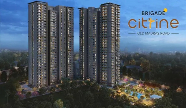 Featured Image of Brigade Citrine